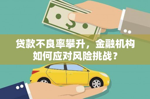 卓溪贷款不良率攀升，金融机构如何应对风险挑战？