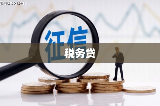 卓溪税务贷