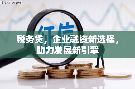 卓溪税务贷，企业融资新选择，助力发展新引擎