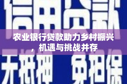 卓溪农业银行贷款助力乡村振兴，机遇与挑战并存