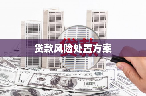卓溪贷款风险处置方案