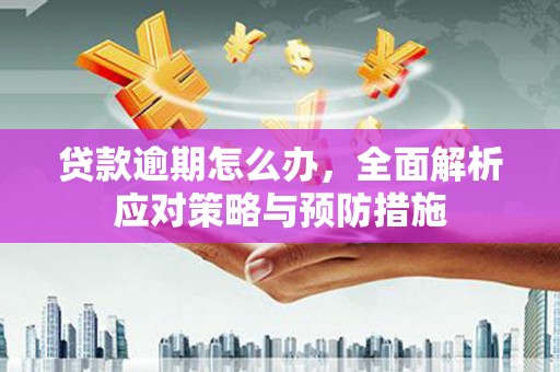 卓溪贷款逾期怎么办，全面解析应对策略与预防措施