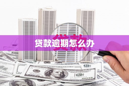 卓溪贷款逾期怎么办