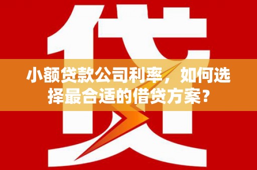 卓溪小额贷款公司利率，如何选择最合适的借贷方案？