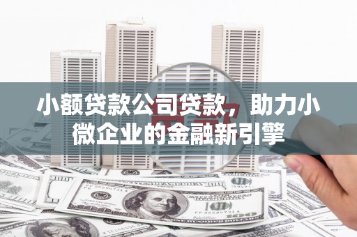 卓溪小额贷款公司贷款，助力小微企业的金融新引擎