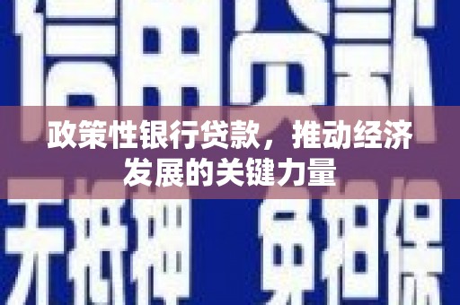 卓溪政策性银行贷款，推动经济发展的关键力量