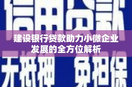 卓溪建设银行贷款助力小微企业发展的全方位解析