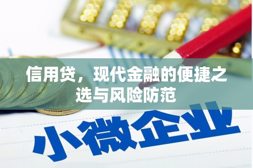 卓溪信用贷，现代金融的便捷之选与风险防范