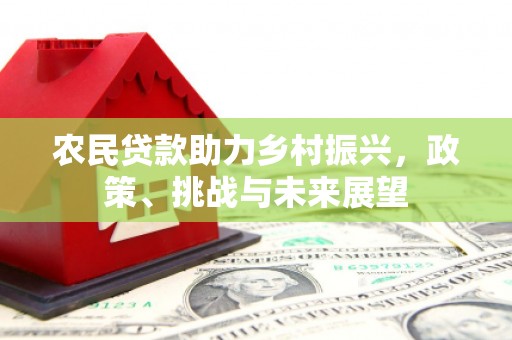 卓溪农民贷款助力乡村振兴，政策、挑战与未来展望