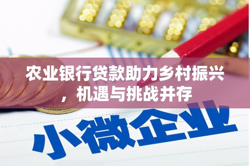卓溪农业银行贷款助力乡村振兴，机遇与挑战并存