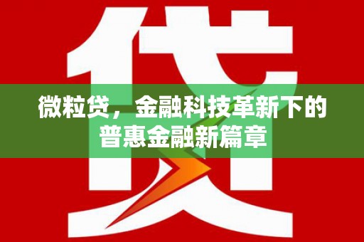 卓溪微粒贷，金融科技革新下的普惠金融新篇章