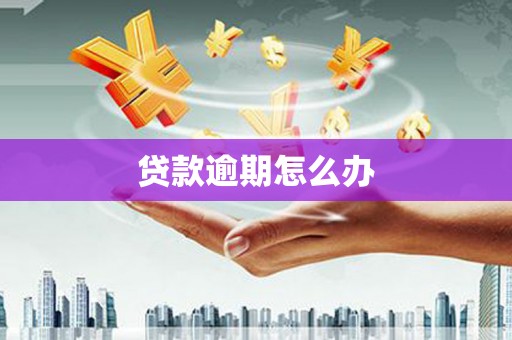 卓溪贷款逾期怎么办