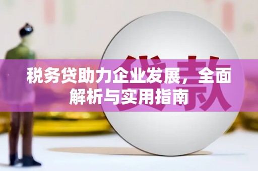 卓溪税务贷助力企业发展，全面解析与实用指南