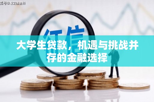 卓溪大学生贷款，机遇与挑战并存的金融选择