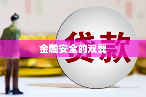 卓溪金融安全的双翼