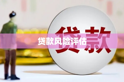 卓溪贷款风险评估
