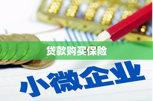 卓溪贷款购买保险