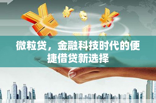卓溪微粒贷，金融科技时代的便捷借贷新选择