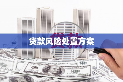卓溪贷款风险处置方案