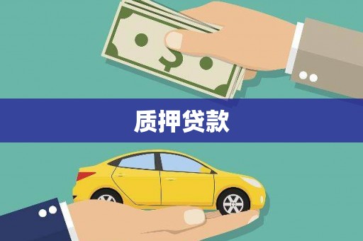 卓溪质押贷款