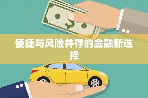 卓溪便捷与风险并存的金融新选择