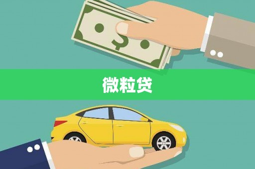 卓溪微粒贷