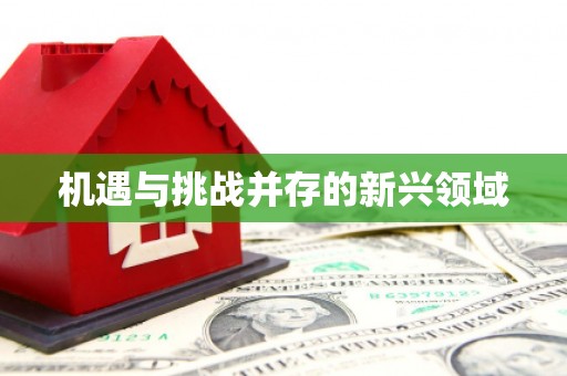 卓溪机遇与挑战并存的新兴领域